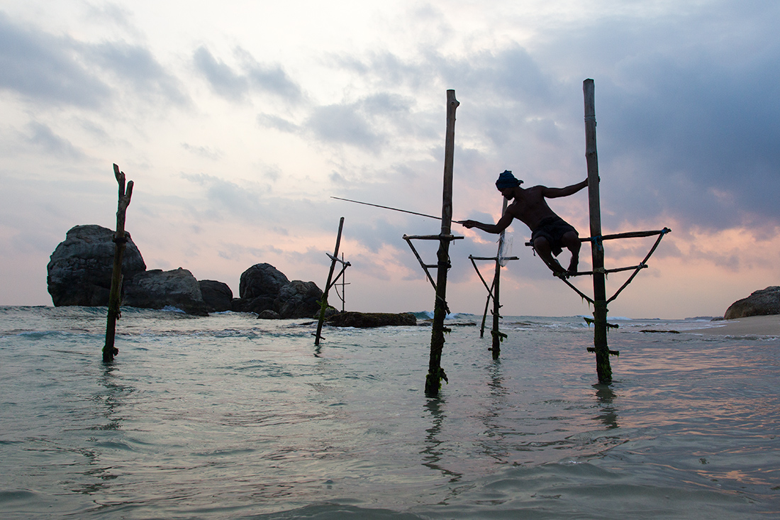 Stilt fisherman in Koggala. Tokikalur Koggalas